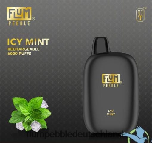 JD4B49 Flum Pebble Review FLUM PEBBLES 6000 Züge eisige Minze
