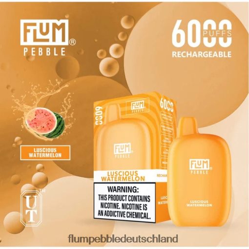 JD4B50 Flum Pebble Vape Price FLUM PEBBLES 6000 Züge köstliche Wassermelone