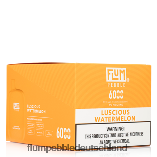 JD4B51 Flum Pebble Berlin FLUM PEBBLES 6000 Züge 10 Packungen köstliche Wassermelone